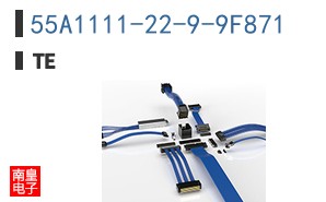 55A1111-22-9-9F871