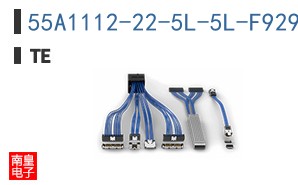 55A1112-22-5L-5L-F929