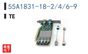 55A1831-18-2/4/6-9