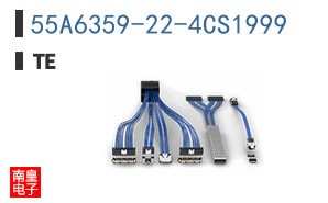 55A6359-22-4CS1999