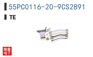 55PC0116-20-9CS2891