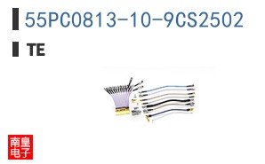 55PC0813-10-9CS2502