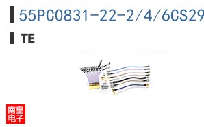 55PC0831-22-2/4/6CS2970