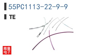 55PC1113-22-9-9