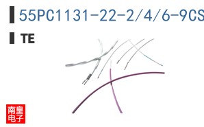 55PC1131-22-2/4/6-9CS2502