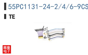 55PC1131-24-2/4/6-9CS2502