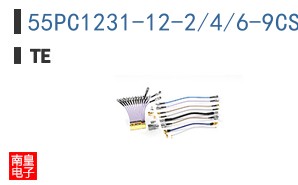 55PC1231-12-2/4/6-9CS2502