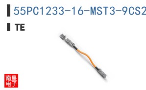 55PC1233-16-MST3-9CS2861