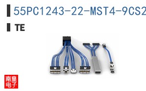 55PC1243-22-MST4-9CS2861