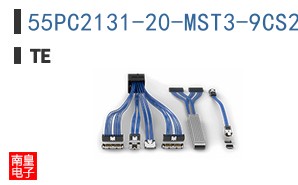 55PC2131-20-MST3-9CS2743