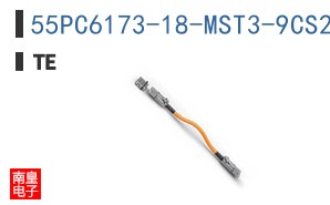 55PC6173-18-MST3-9CS2861