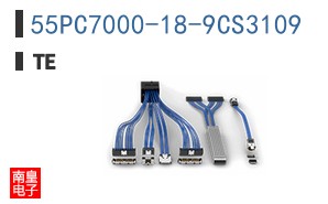 55PC7000-18-9CS3109