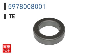 5978008001