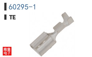 60295-1