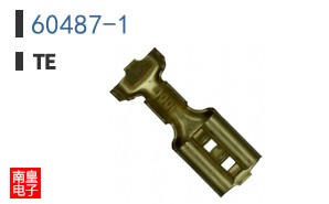 60487-1