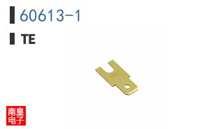 60613-1