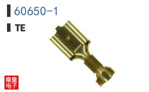 60650-1