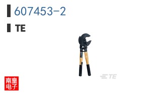 607453-2