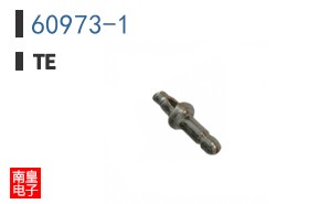 60973-1