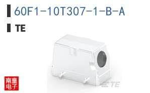 60F1-10T307-1-B-A