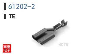 61202-2