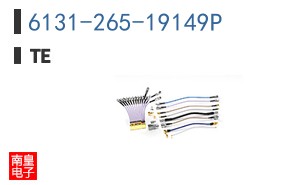 6131-265-19149P