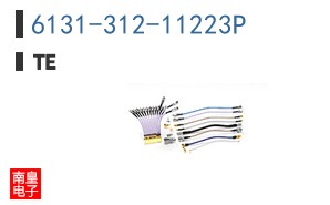 6131-312-11223P