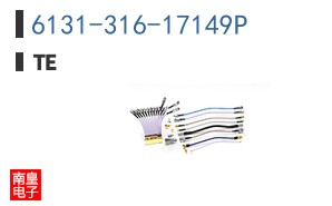 6131-316-17149P