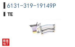 6131-319-19149P