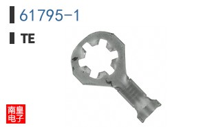 61795-1