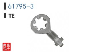 61795-3