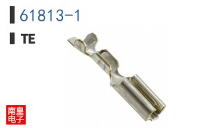 61813-1