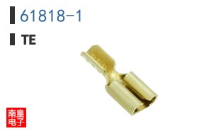 61818-1