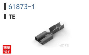 61873-1