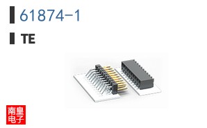 61874-1