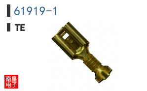 61919-1
