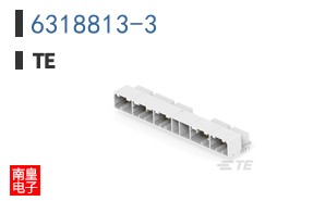 6318813-3