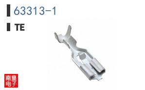 63313-1