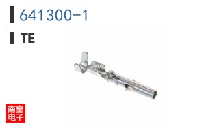 641300-1