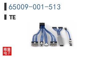 65009-001-513