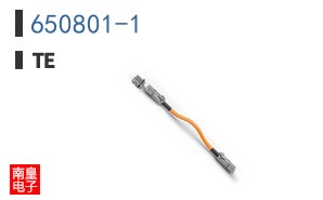 650801-1