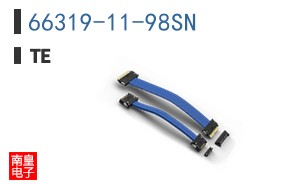 66319-11-98SN
