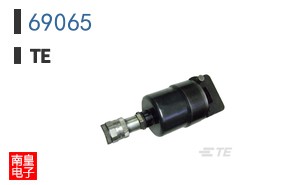 69065