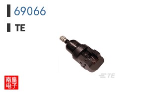 69066