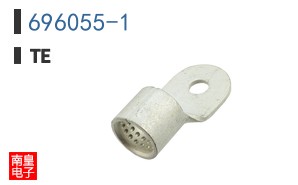 696055-1