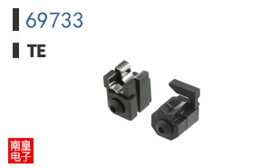 69733