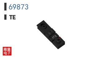69873