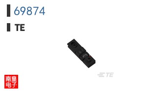 69874
