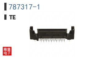 787317-1