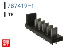 787419-1